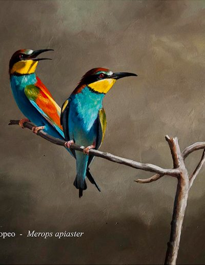 Abejaruco europeo / European bee-eater / Merops apiaster – Óleo / Oil painting – © Lucía Gómez Serra