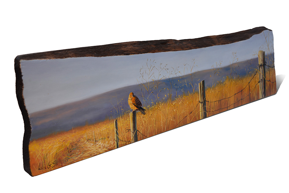 Cernícalo vulgar / Common kestrel / Falco tinnunculus – Pintura sobre madera de cerezo / painting on cherrywood - 84 x 20,5x 3cm - © Lucía Gómez Serra - PVP: 600€