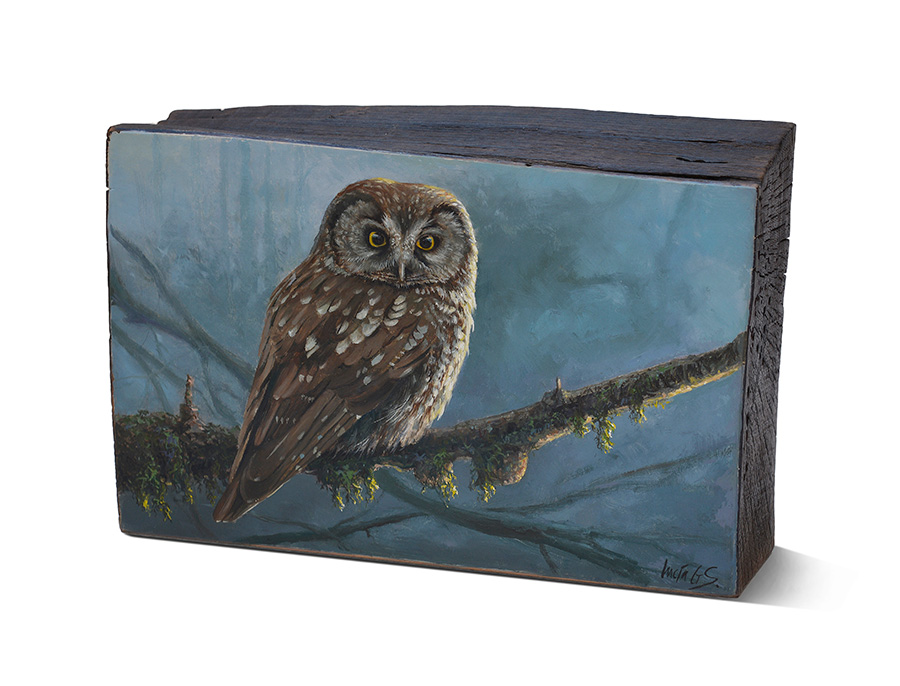 Mochuelo boreal / Tengmalm's owl / Aegolius funereus - Pintura al óleo sobre tabla de madera de haya / Oil painting on beech wood - 26 x 16,5 x6,5 cm © Lucía Gómez Serra - Vendido