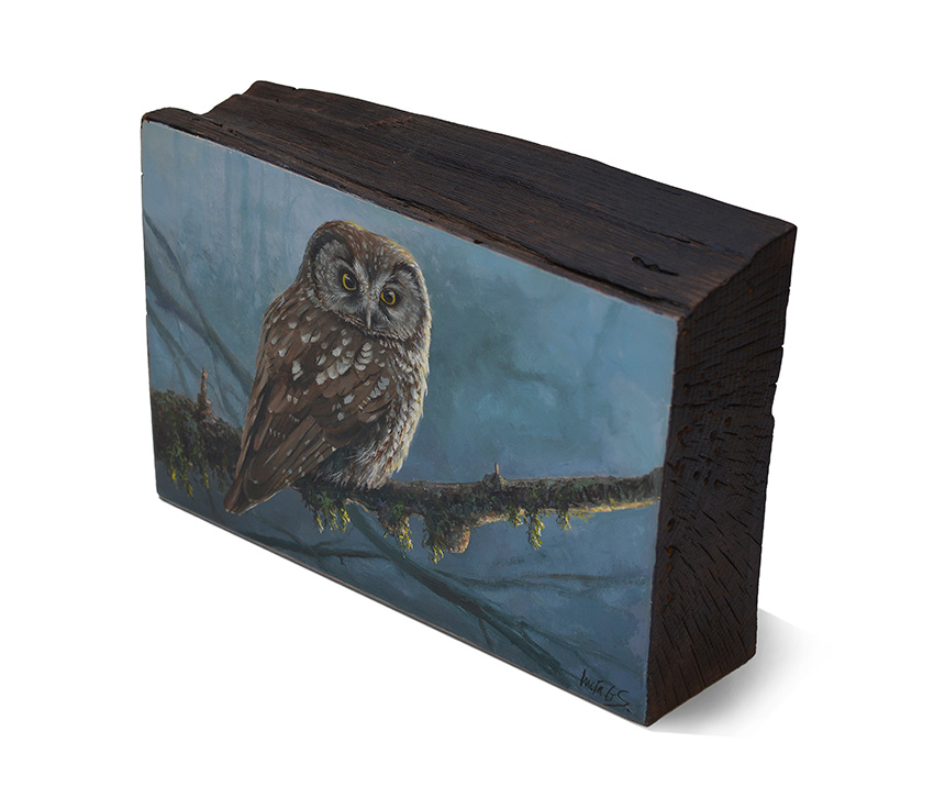 Mochuelo boreal / Tengmalm's owl / Aegolius funereus - Pintura al óleo sobre tabla de madera de haya / Oil painting on beech wood - 26 x 16,5 x6,5 cm © Lucía Gómez Serra - Vendido
