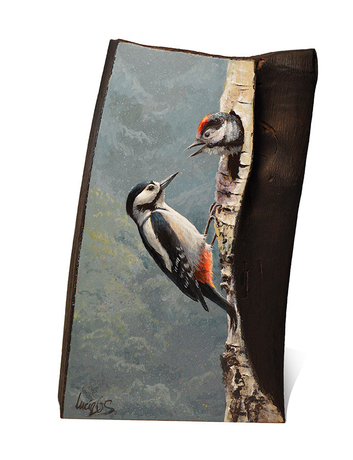 Pico picapinos / Great spotted woodpecker / Dendrocopos major - Sobre madera de cerezo / painting on cherrywood -14x23,5x6cm – © Lucía Gómez Serra - Vendido